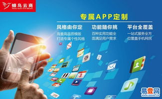 廈門網站開發與軟件外包 定制化服務助力企業數字化升級
